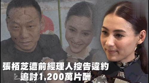 娱乐吃瓜渣,揭秘明星们的“吃瓜”生活