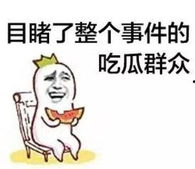 娱乐吃瓜菌走向共和,一场文化变革的见证