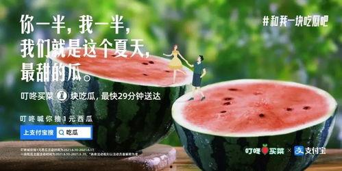 娱乐吃瓜评论文案怎么写,揭秘吃瓜群众的狂欢盛宴