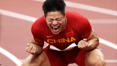 娱乐吃瓜酱明星踢球,明星足球场上的风采瞬间