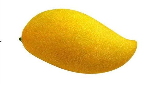 芒芒果娱乐吃瓜,揭秘娱乐圈最新“吃瓜”事件