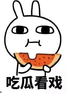 娱乐吃瓜酱石头,石头背后的故事与魅力揭秘