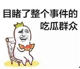 喵星娱乐吃瓜群众,吃瓜群众揭秘娱乐圈幕后真相
