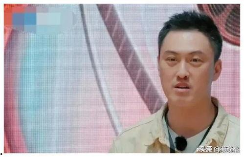 娱乐圈吃瓜爆料小号,揭秘明星背后的秘密与八卦